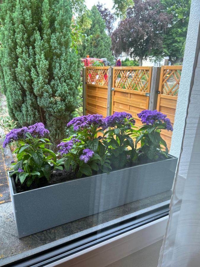 באד זאלצפלן Fewo By Hd Mit Parkplatz, Wallbox, Wintergarten מראה חיצוני תמונה